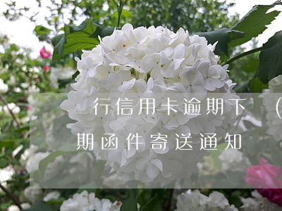 銀行信用卡逾期下發(fā)函件(信用卡逾期函件寄送通知)