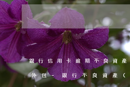 銀行信用卡逾期不良資產(chǎn)清收外包-銀行不良資產(chǎn)委外清收