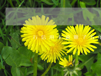 銀行信用卡逾期了五年后果是什么