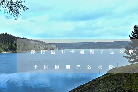 銀行信用卡逾期了怎么收費(的中信銀行信用卡因逾期怎么收費)