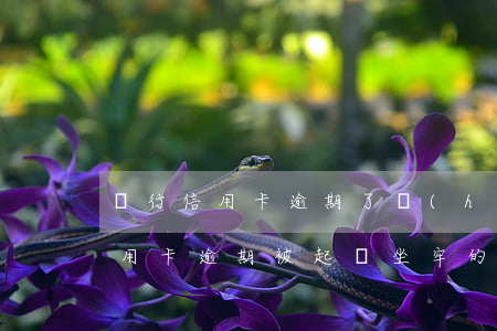 銀行信用卡逾期了會(huì)坐牢嗎(因信用卡逾期被起訴坐牢的多嗎)