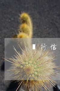 銀行信用卡逾期了會怎么樣處理