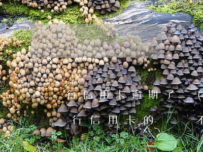 銀行信用卡逾期了無(wú)力償還判刑(欠銀行信用卡的錢還不起被判刑怎么辦)