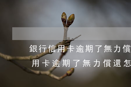 銀行信用卡逾期了無力償還怎么說-銀行信用卡逾期了無力償還怎么說理由