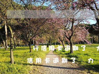 銀行信用卡逾期了無力償還會坐牢嗎-銀行信用卡逾期了無力償還會坐牢嗎?