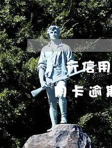 銀行信用卡逾期了無力償還被起訴-銀行信用卡逾期了無力償還被起訴怎么辦