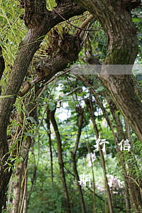 銀行信用卡逾期了銀行不讓還了(欠信用卡逾期了還可以辦銀行卡嗎)