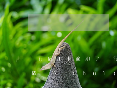 銀行信用卡逾期了銀行怎么起訴(銀行在什么情況下會(huì)起訴信用卡逾期人員)