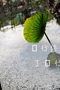 銀行信用卡逾期二年怎么辦(信用卡逾期三年了銀行會(huì)怎樣處理)
