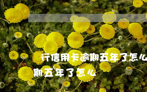 銀行信用卡逾期五年了怎么辦 銀行信用卡逾期五年了怎么辦