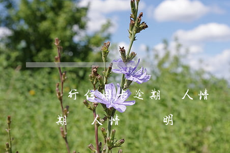 銀行信用卡逾期個人情況說明(銀行信用卡逾期個人情況說明)