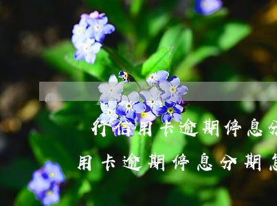 銀行信用卡逾期停息分期怎么回事-銀行信用卡逾期停息分期怎么回事啊