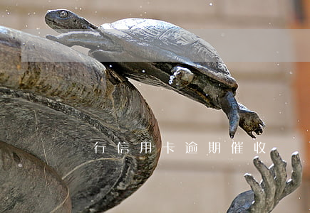 銀行信用卡逾期催收
