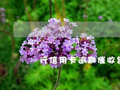 銀行信用卡逾期催收告知他人