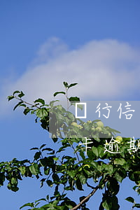 銀行信用卡逾期催收客服怎么樣-銀行信用卡逾期催收客服怎么樣投訴