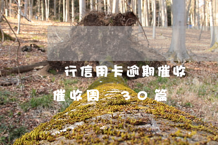 銀行信用卡逾期催收總結(jié)(信用卡催收周記30篇)