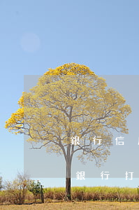 銀行信用卡逾期傳喚面談(信用卡逾期主動給銀行打電話)