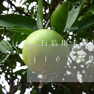 銀行信用卡逾期儲(chǔ)蓄卡被凍結(jié) 逾期會(huì)凍結(jié)其他銀行儲(chǔ)蓄卡嗎