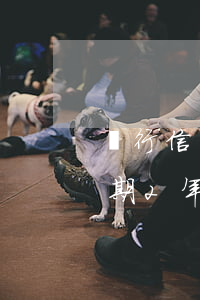 銀行信用卡逾期兩年怎么辦(很多張信用卡逾期2年怎么辦)