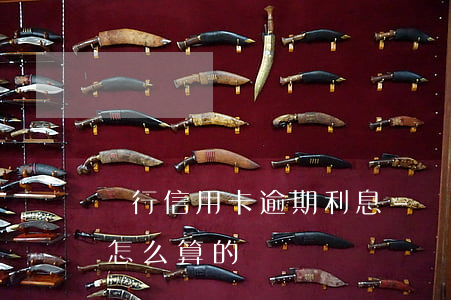 銀行信用卡逾期利息-銀行信用卡逾期利息怎么算的