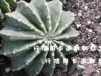 銀行信用卡逾期利息怎么計算浦發(fā)-銀行信用卡逾期利息怎么計算浦發(fā)銀行的