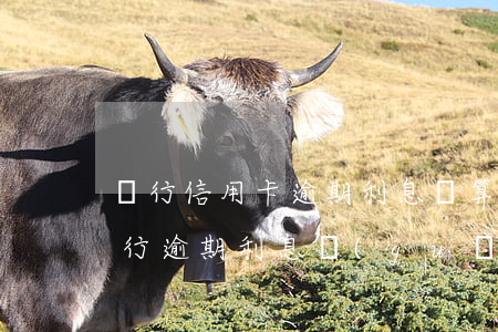 銀行信用卡逾期利息計算規(guī)則 銀行逾期利息規(guī)定