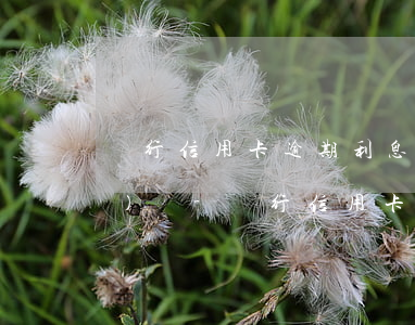 銀行信用卡逾期利息高投訴銀監(jiān)會-銀行信用卡逾期利息高投訴銀監(jiān)會有用嗎