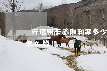 銀行信用卡逾期利率多少(欠信用卡逾期利息怎么算)