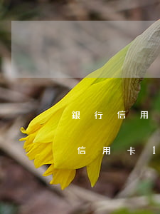 銀行信用卡逾期十萬(wàn)有什么后果(信用卡10萬(wàn)逾期會(huì)坐牢嗎)