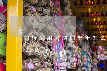 銀行信用卡逾期半年怎么辦(信用卡逾期半年怎么解決)