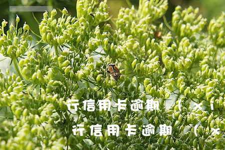 銀行信用卡逾期協(xié)商電話-廣州銀行信用卡逾期協(xié)商電話