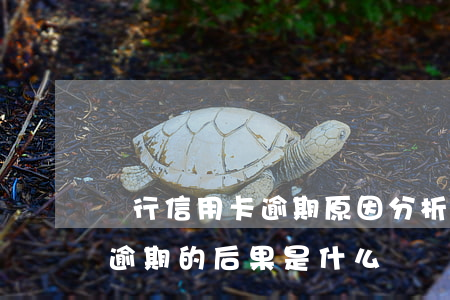 銀行信用卡逾期原因分析 貸款逾期與信用卡逾期的后果是什么