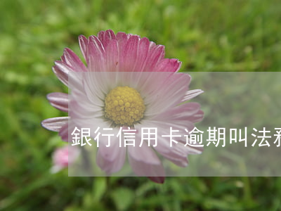 銀行信用卡逾期叫法務(wù)簽字