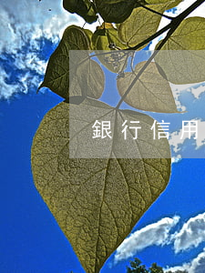 銀行信用卡逾期可以代收嗎