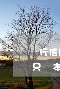 銀行信用卡逾期可以只還本金嗎(逾期后可以只還本金嗎?)