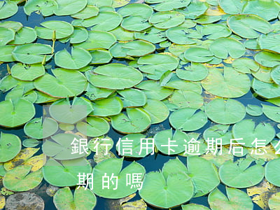 銀行信用卡逾期后怎么處理(有處理信用卡逾期的嗎)
