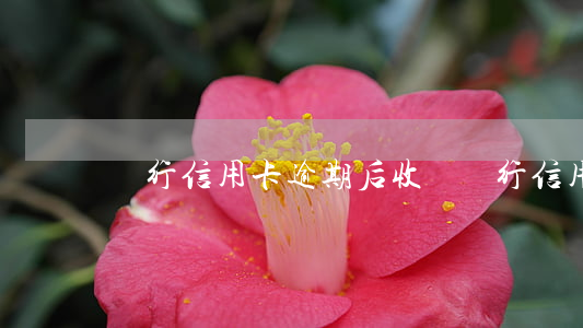 銀行信用卡逾期后收單(銀行信用卡逾期后收單)