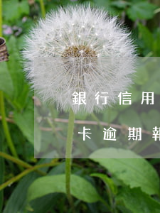 銀行信用卡逾期后續(xù)流程(銀行信用卡逾期報案處理流程)