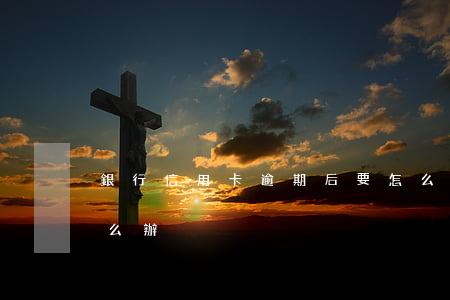 銀行信用卡逾期后要怎么辦(信用卡 逾期了怎么辦)
