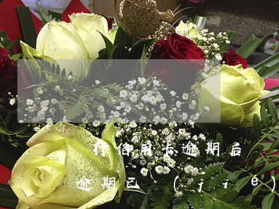 銀行信用卡逾期后賬單提前結(jié)清(逾期已結(jié)清還能辦理信用卡)