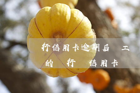 銀行信用卡逾期后辦工資卡(去發(fā)工資的銀行辦信用卡)