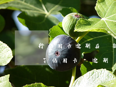 銀行信用卡逾期后還款會怎么樣(為什么明明還了信用卡還逾期)