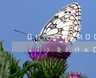 銀行信用卡逾期壞賬暴增(信用卡壞賬會(huì)受到什么樣的處罰)