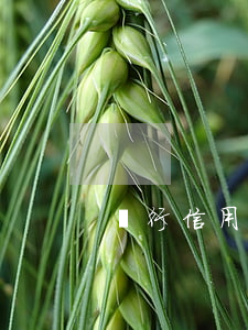 銀行信用卡逾期外派調(diào)證組