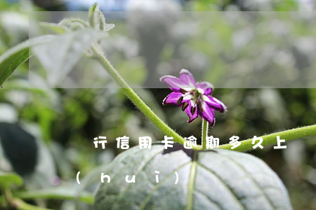 銀行信用卡逾期多久上線(信用卡逾期多久會(huì))