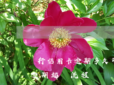 銀行信用卡逾期多久可以起訴(銀行對信用卡逾期起訴流程)