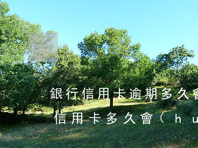 銀行信用卡逾期多久會(huì)被催收 欠信用卡多久會(huì)被催收