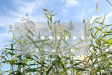 銀行信用卡逾期多久會(huì)被強(qiáng)制執(zhí)行-銀行信用卡逾期多久會(huì)被強(qiáng)制執(zhí)行呢