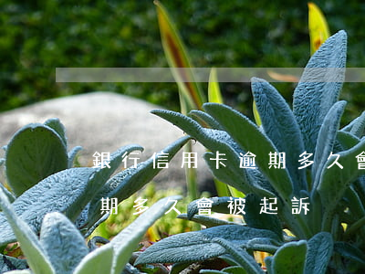 銀行信用卡逾期多久會判刑(欠銀行信用卡逾期多久會被起訴)