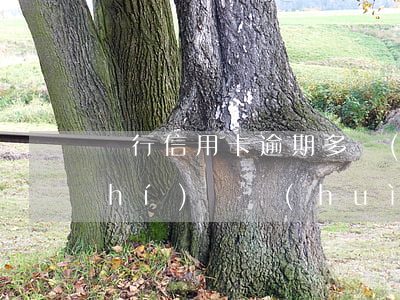 銀行信用卡逾期多長(zhǎng)時(shí)間會(huì)被起訴-銀行信用卡逾期多長(zhǎng)時(shí)間會(huì)被起訴呢